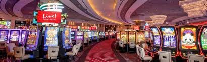 wildbet777